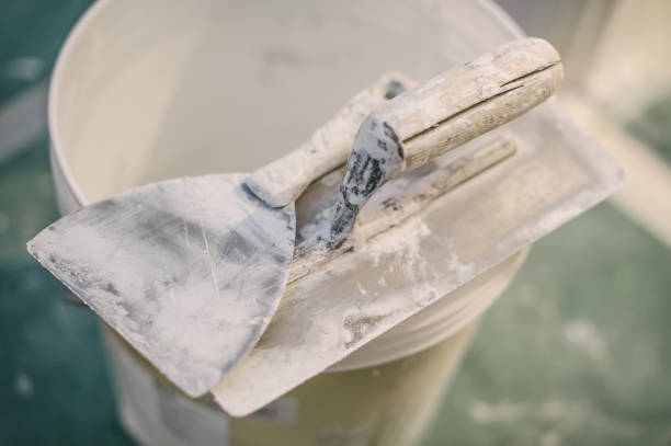 Best Basement Mold Removal  in Shinnecock Hills, NY